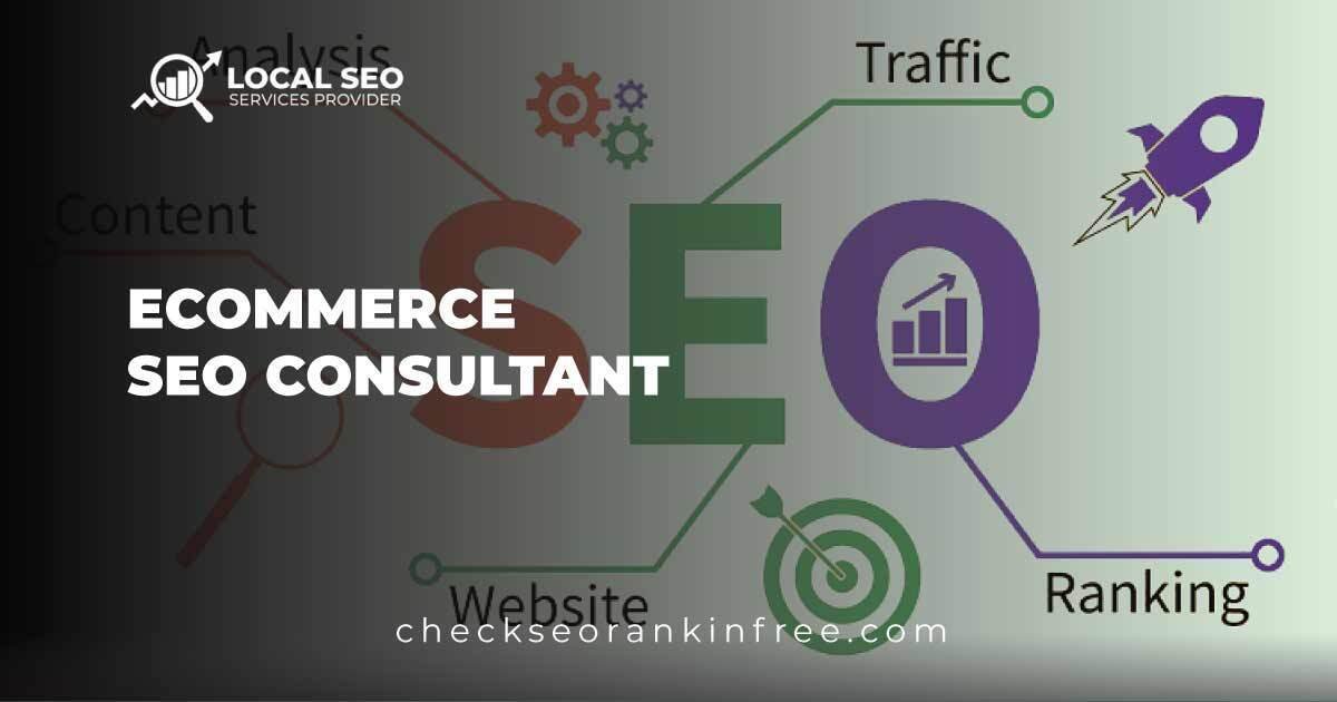 Ecommerce Seo Consultant