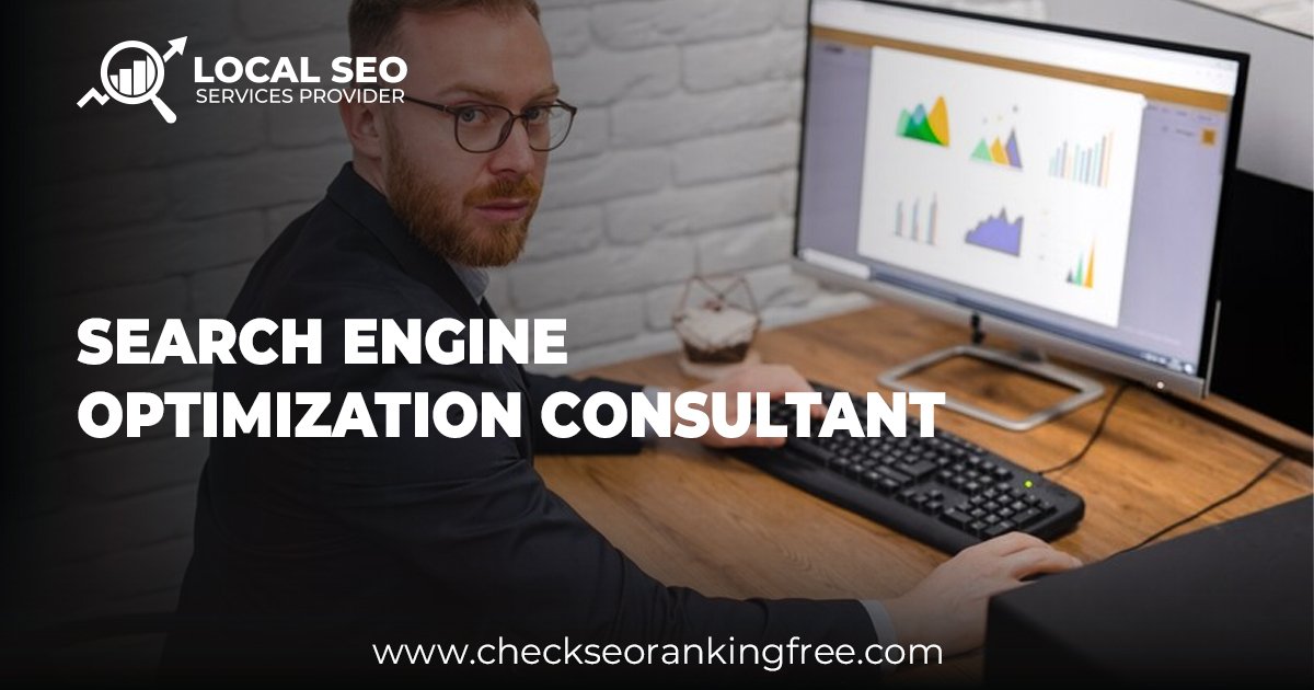 Search Engine Optimization Consultant: Boost Google Rankings